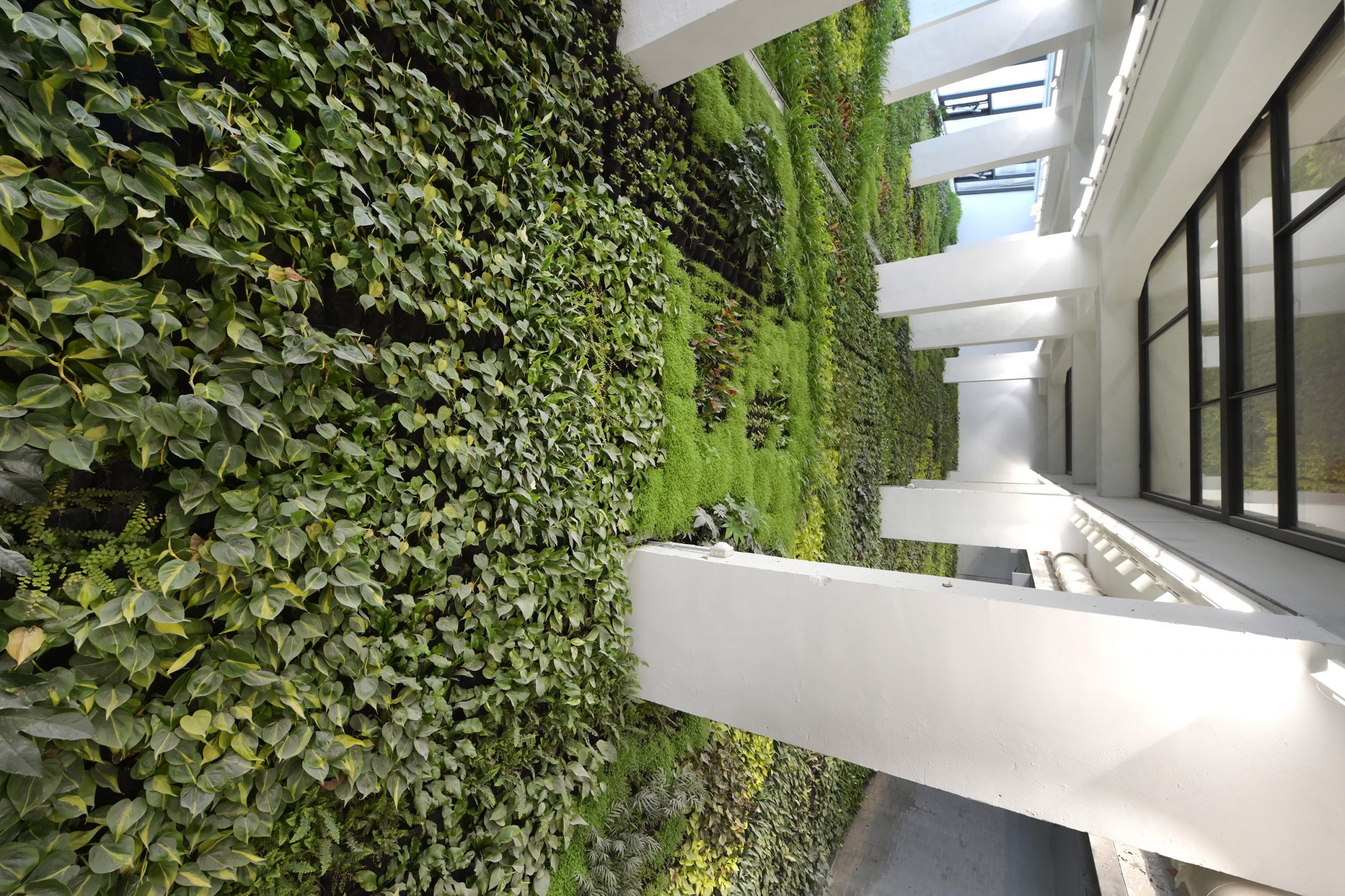 Jardines verticales, obras estéticas combaten contaminación en ciudades