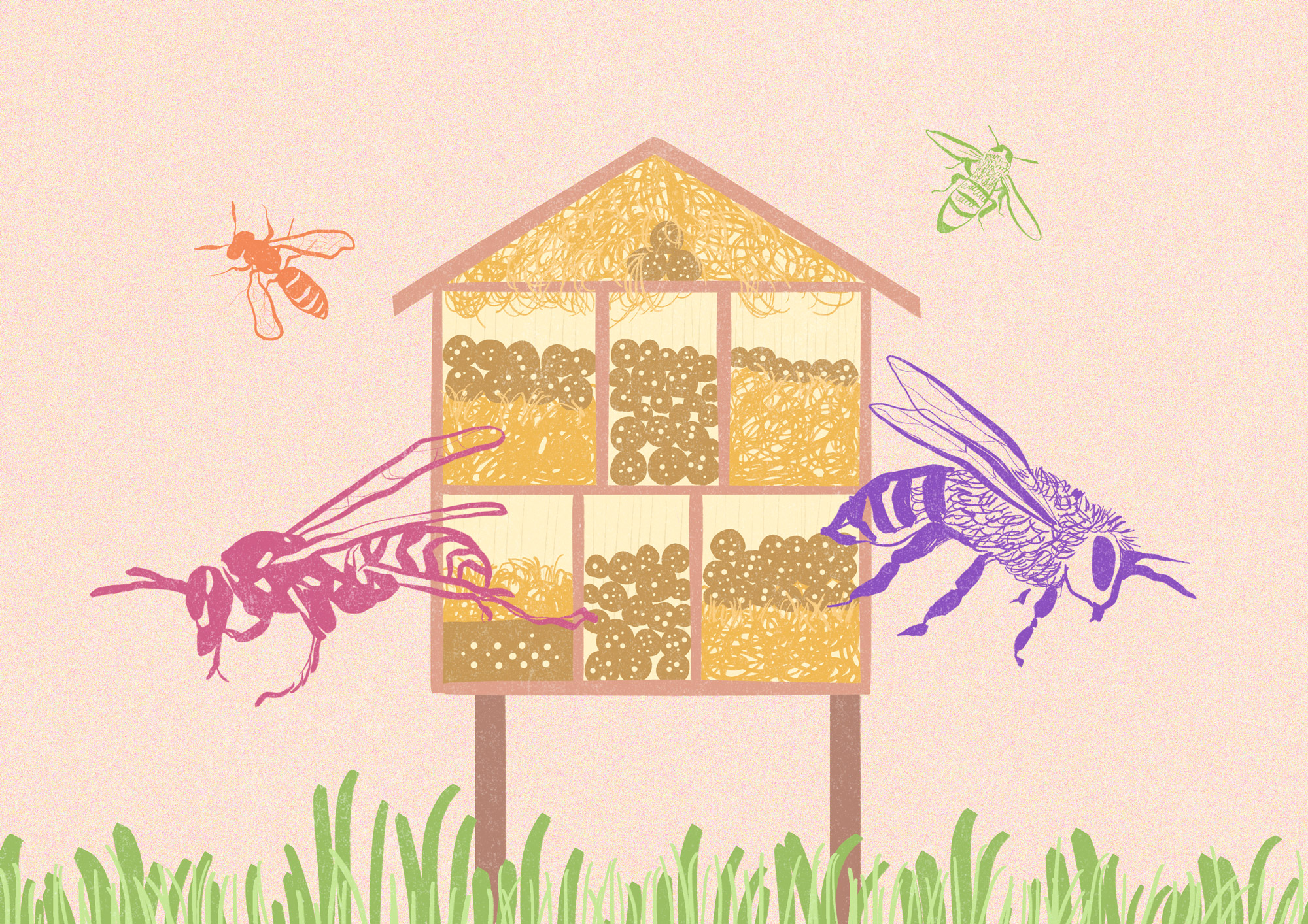 Hotel de insectos, nuestra ayuda para el ecosistema